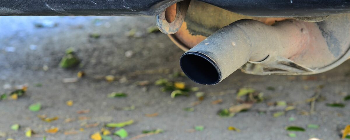 smog check