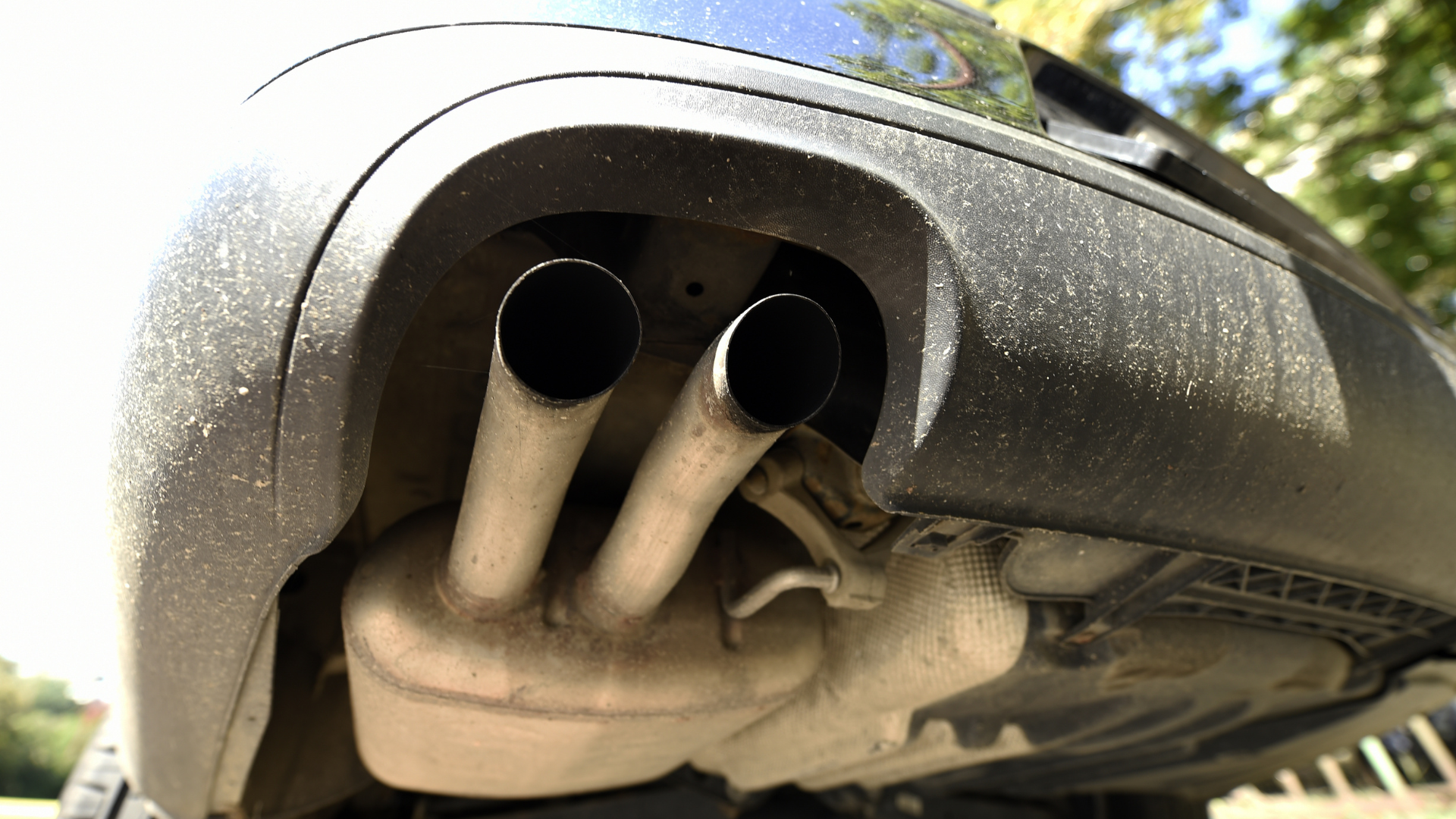 smog check